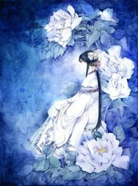 我在鬥羅的簽到生活