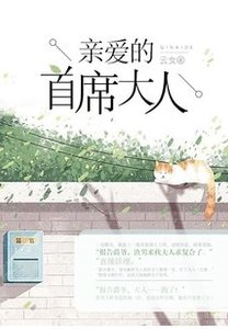 亲爱的首席大人